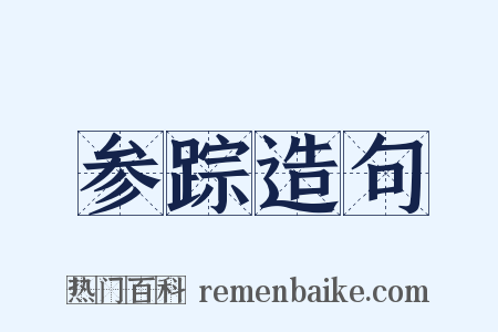 参踪造句是什么意思的图片